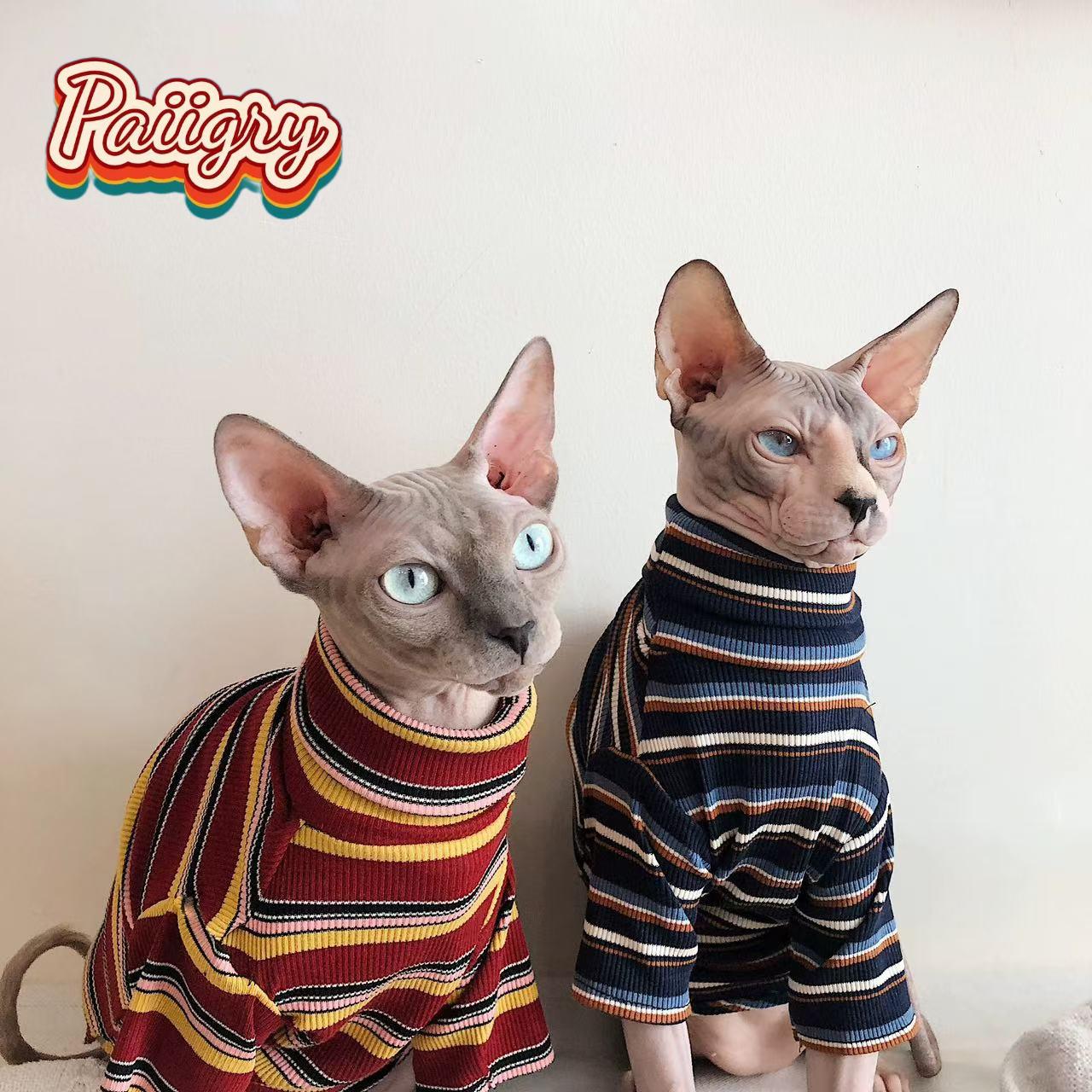 하이 콜드 레트로 스타일 고양이 애완동물 티셔츠, 트렌 - Summer Clothing Must Haves 리뷰 및 가격